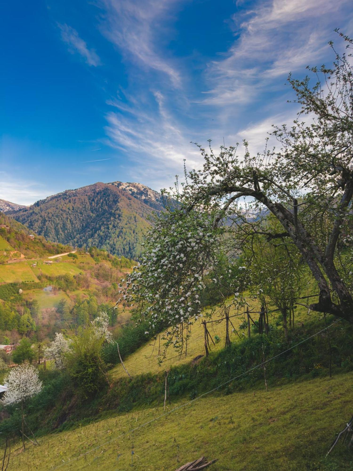 Eco Cottage Sunrise Merisi מראה חיצוני תמונה